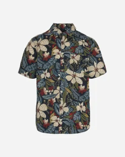 ADVENTURE DIVISION M