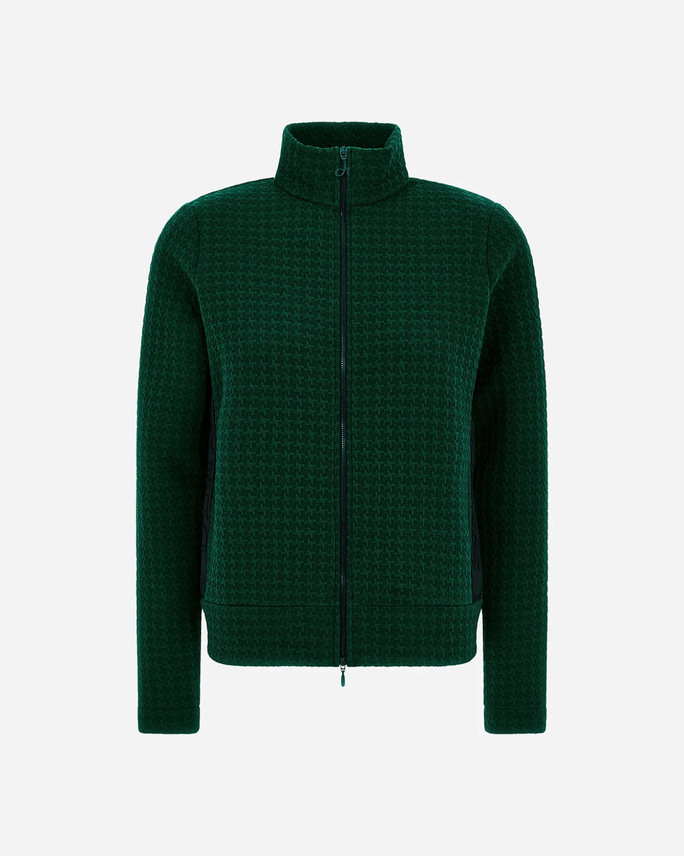 BICOLOR PIED POULE W