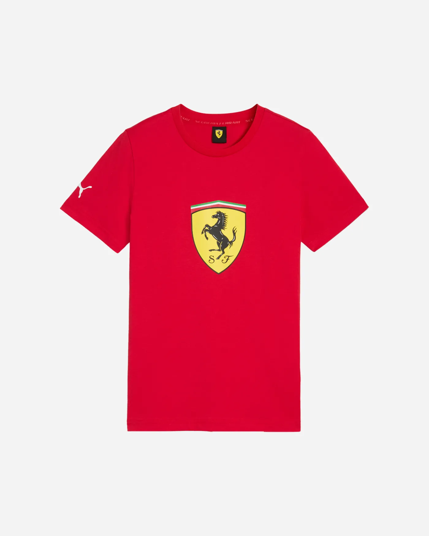 COLORED BIG SHIELD JR