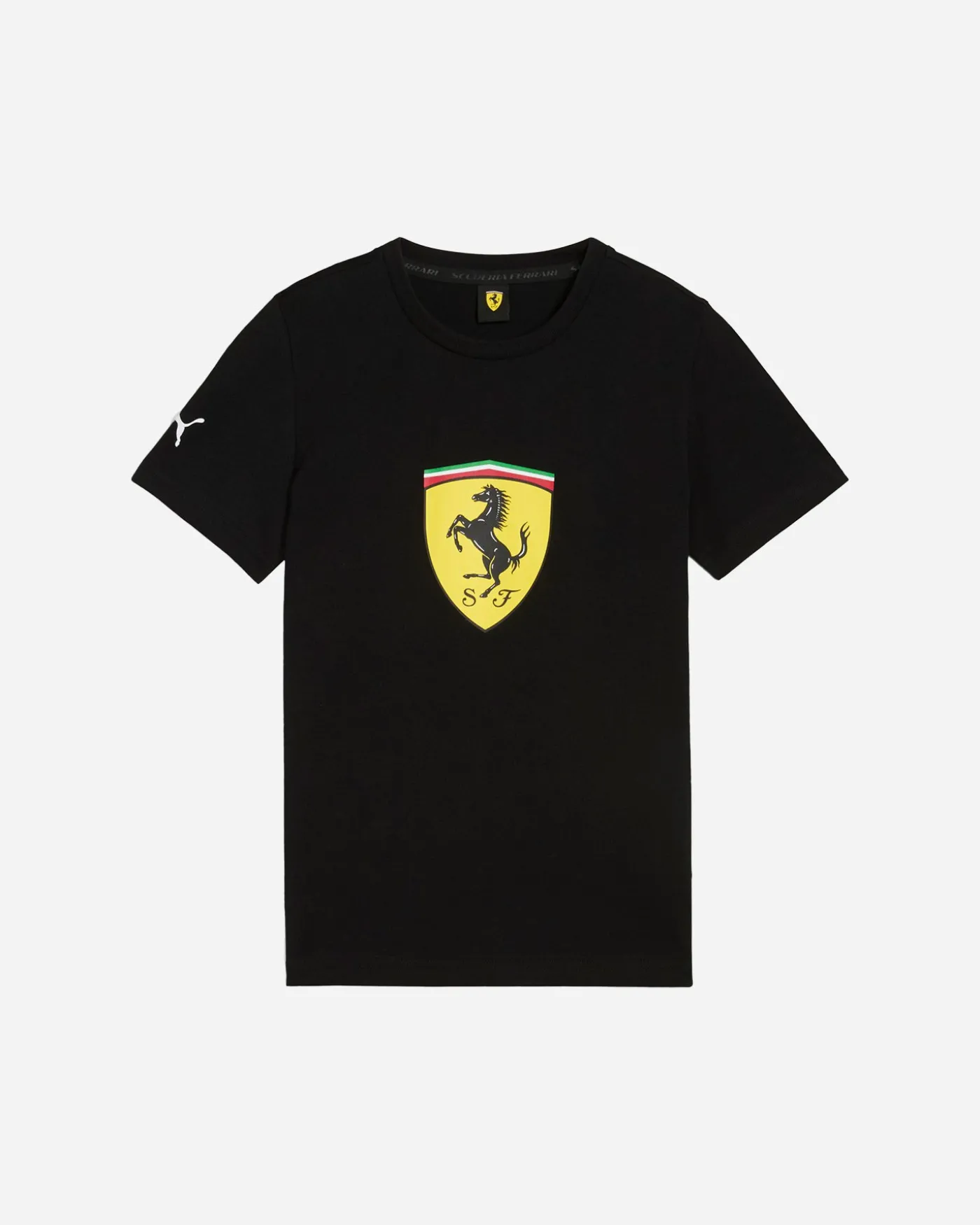 COLORED BIG SHIELD JR