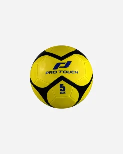GOAL 10