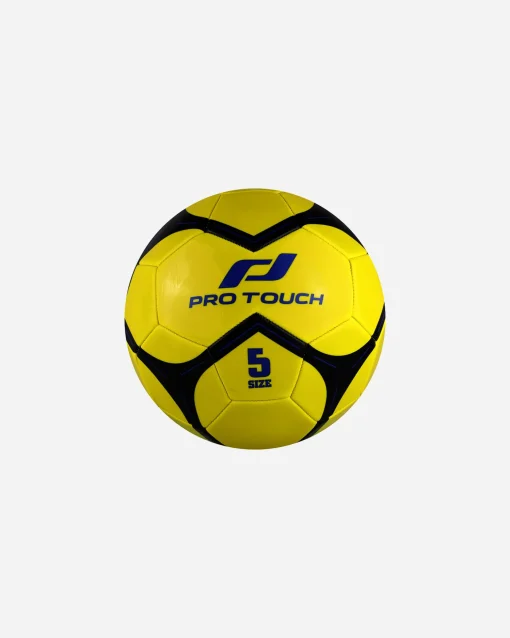 GOAL 10
