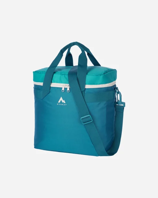 25L