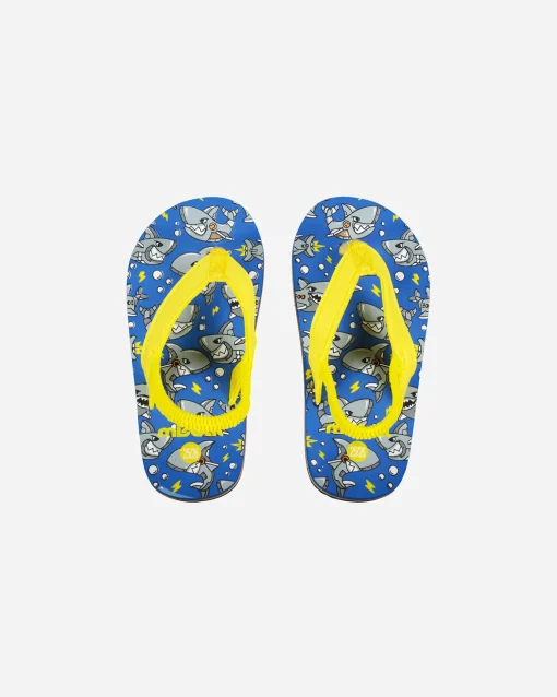 LACET PRINT JR