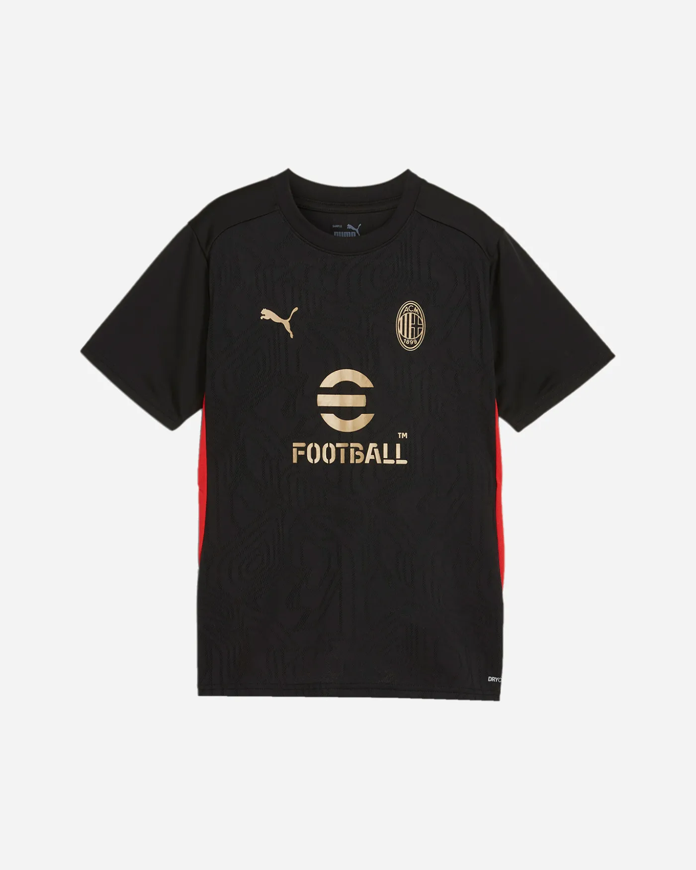 MILAN TRAINING 24-25 JR