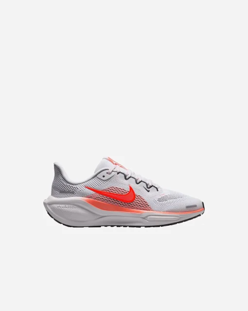 PEGASUS 41 JR