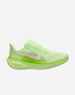 PEGASUS 41 W